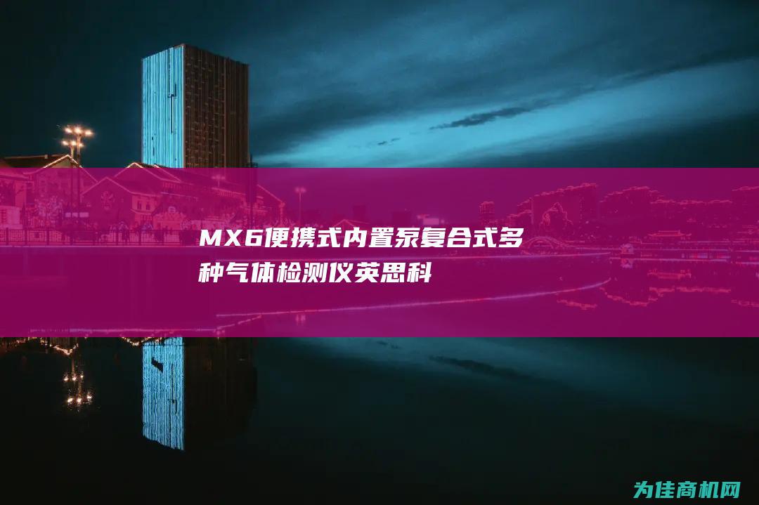 MX6便携式内置泵复合式多种气体检测仪 英思科iBrid (mx6dl)