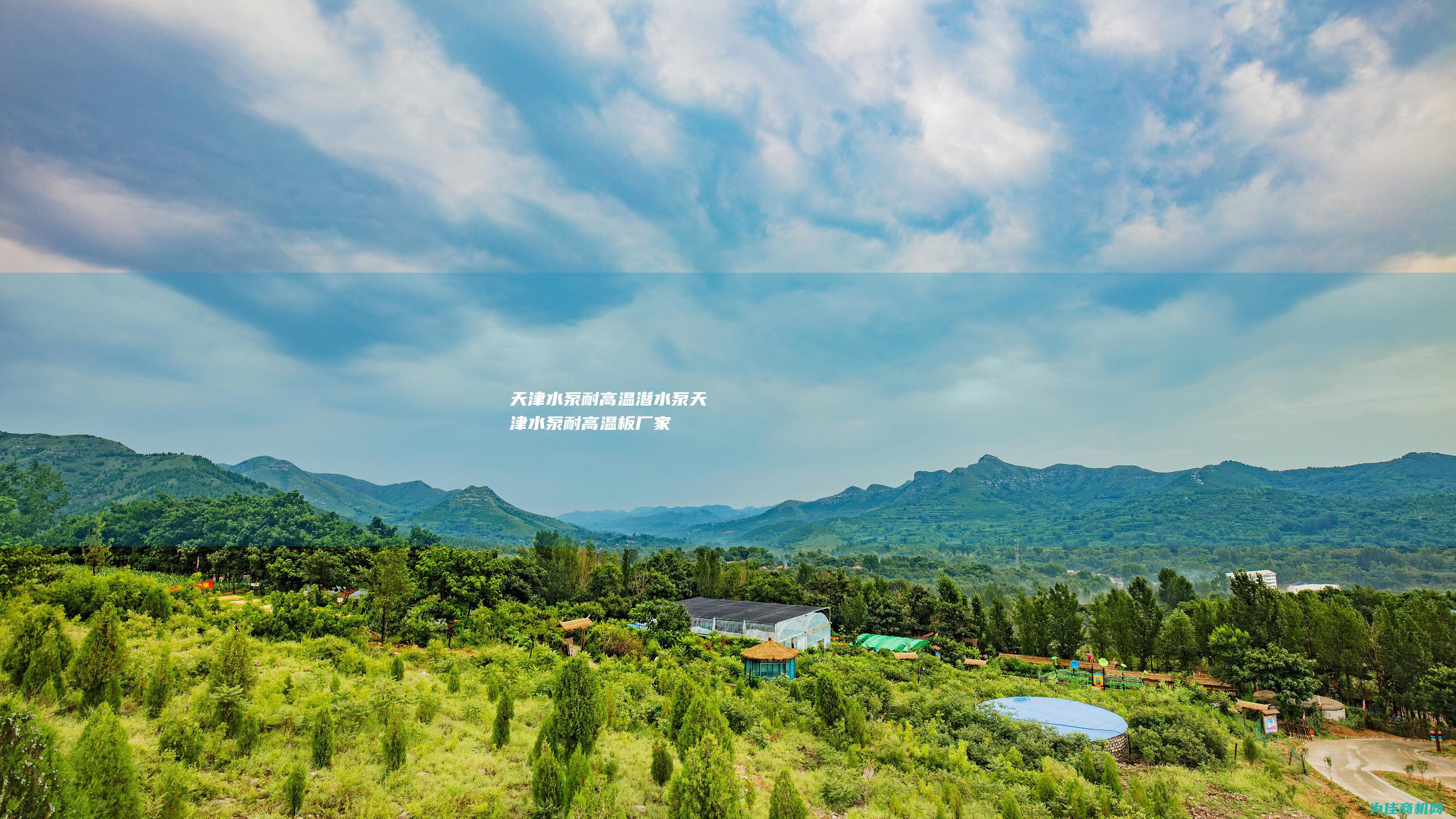 天津水泵 耐高温潜水泵 (天津水泵耐高温板厂家)