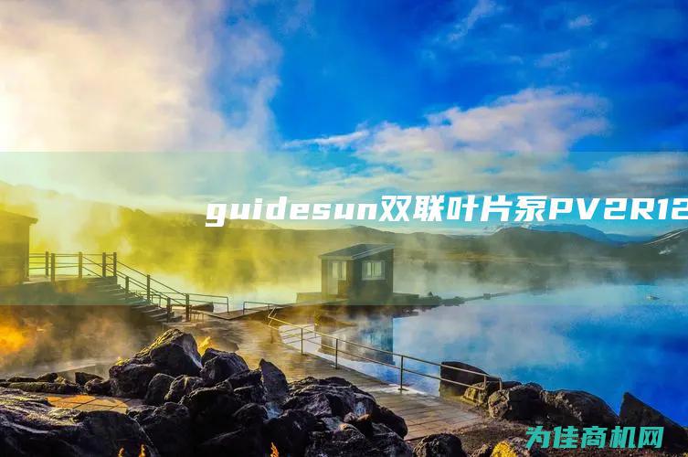 guidesun双联叶片泵PV2R12 (guides是什么意思)