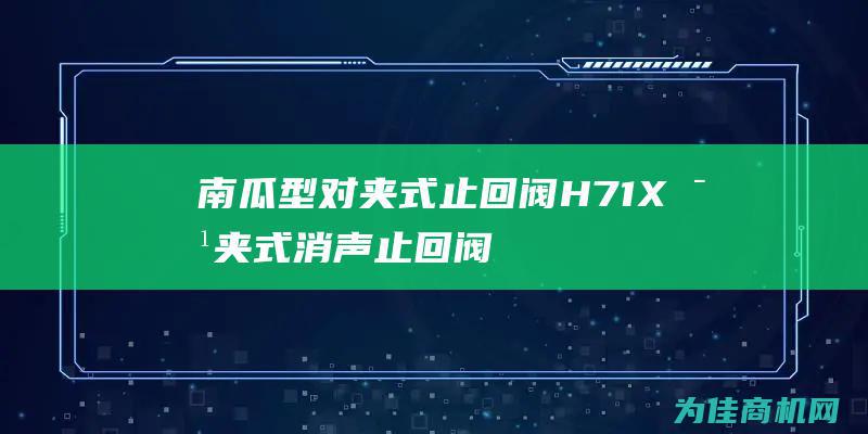 南瓜型对夹式止回阀 H71X对夹式消声止回阀 (南瓜夹子的做法大全)