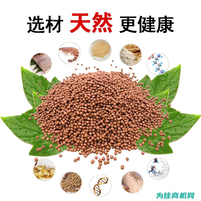 不同种类饲料加工设备的性能特点与适用场景