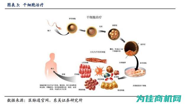 从功能特点到应用场景全面剖析 (从功能的角度分析)