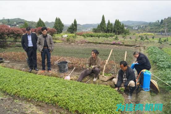 重庆地区植保仪器价格影响因素探讨 (重庆地区植保单位名单)