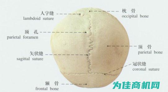 揭秘巨型液动仪器供应商行业巨头