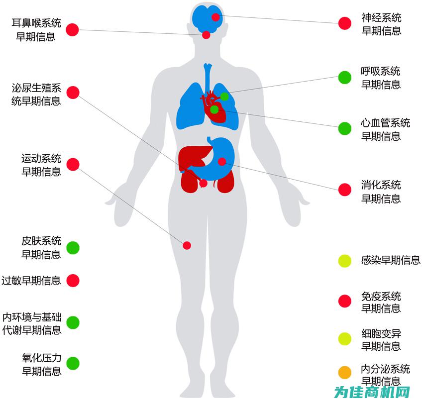 系统风险评估流程详解