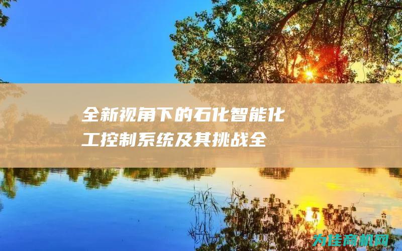 视角下的石化智能控制系统及其挑战全