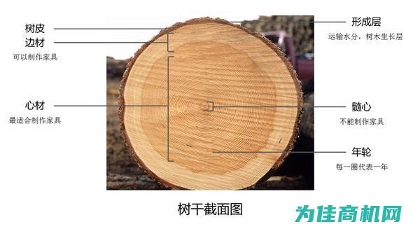 全面了解实木家具小颗粒种类与特点