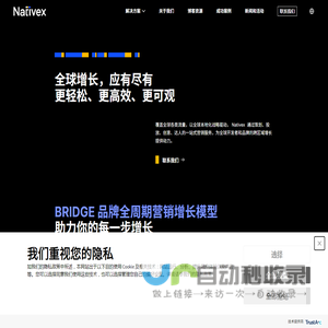 广州汇量信息科技有限公司｜Nativex｜全球数字营销代理商