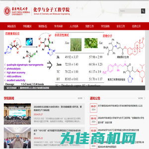 化学与分子工程学院