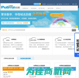 专业的云计算、动态域名服务提供商 - 公云PubYun