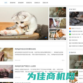 有爱的宠物狗宠物猫品种养护、图片、训练知识分享-爱宠秀