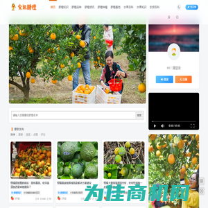 安远脐橙网-江西赣南脐橙批发、零售、代理综合信息平台