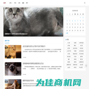 百宝猫 - 猫咪百科全书，宠物猫咪百科网