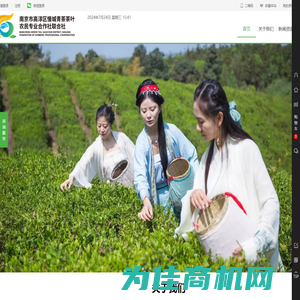 青茶空间|南京市高淳区慢城青茶茶叶农民专业合作社联合社|高淳茶叶品牌